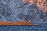 Norwegen - Vesterlen/Fyr