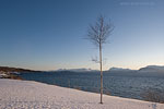 Norwegen - Vesterlen/Fyr