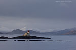 Norwegen - Vesterlen/Fyr