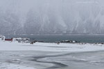 Norwegen - Vesterlen/Fyr