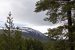 Norwegen - Fjell