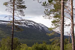 Norwegen - Fjell