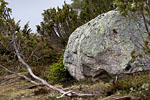 Norwegen - Fjell
