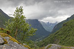 Norwegen - Strynefjell - Fossen