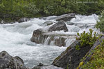 Norwegen - Strynefjell - Fossen