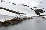 Norwegen - Trollstigen
