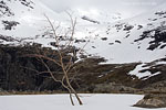 Norwegen - Trollstigen