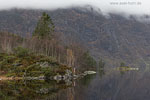 Norwegen - Osterfjord