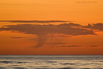 Ostseekste Sonnenaufgang