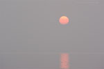 Ostseekste Sonnenaufgang