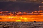 Ostseekste Sonnenaufgang
