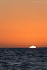 Ostseekste Sonnenaufgang