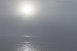Ostseekste Sonnenaufgang