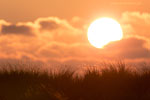Ostseekste Sonnenaufgang