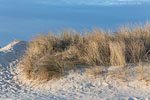 Ostseekste