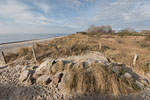 Ostseekste