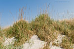 Ostseekste