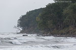 Sturm am Meer