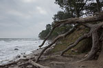 Sturm am Meer