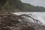 Sturm am Meer