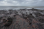 Lichtstimmungen am Meer