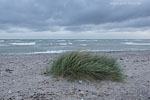 Sturm am Meer