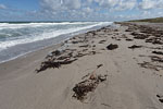 Sturm am Meer