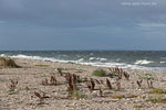 Sturm am Meer