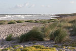 Sturm am Meer