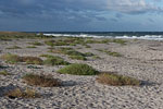 Sturm am Meer