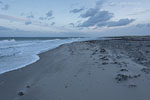 Sturm am Meer