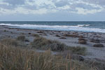 Sturm am Meer