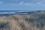 Sturm am Meer