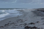 Sturm am Meer