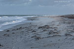 Sturm am Meer
