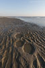 Sturm am Meer