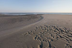Sturm am Meer