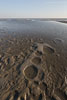 Sturm am Meer