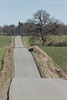 Ostseekste