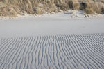 Ostseekste