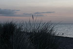 Ostseekste