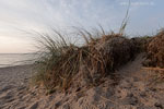 Ostseekste