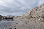 Ostseekste