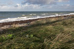 Sturm am Meer