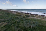 Sturm am Meer