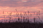 Lichtstimmungen am Meer