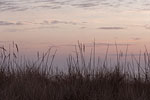 Lichtstimmungen am Meer