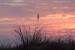 Lichtstimmungen am Meer