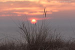 Lichtstimmungen am Meer