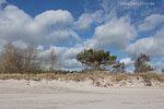 Lichtstimmungen am Meer